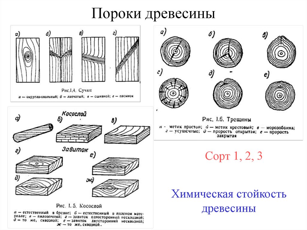 Пороки круглых лесоматериалов и критерии их сортировки