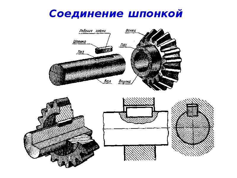 На рисунке изображена шпонка