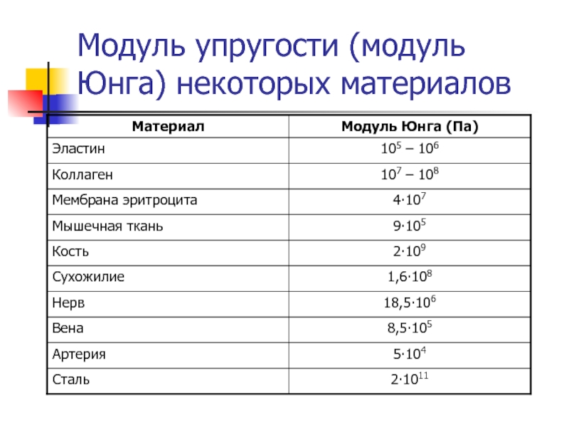 Модуль упругости (модуль юнга): понятие, формулы, как определить