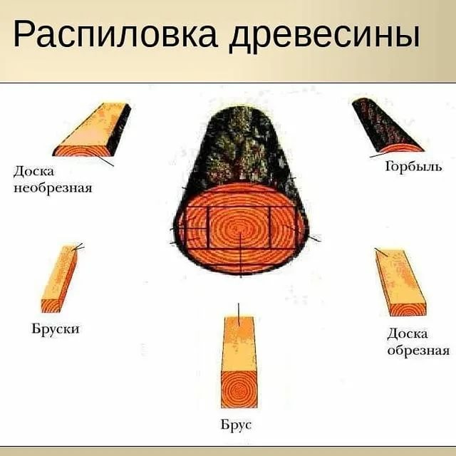 Классификация пиломатериалов и их характеристика -статьи