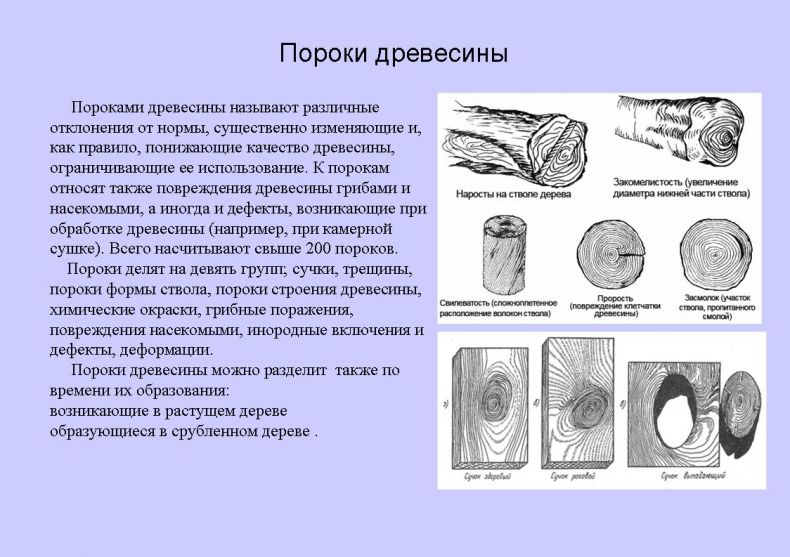 Качество пиломатериалов дефекты и пороки древесины
