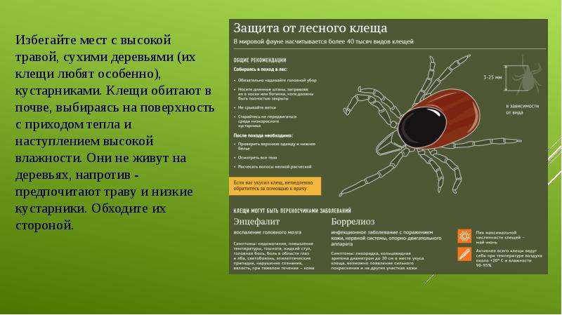 Гильзы для обжима проводов: что это такое, разновидности и критерии выбора