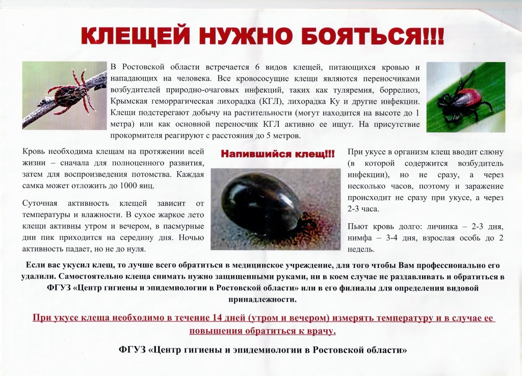 Гильзы для опрессовки проводов кратко