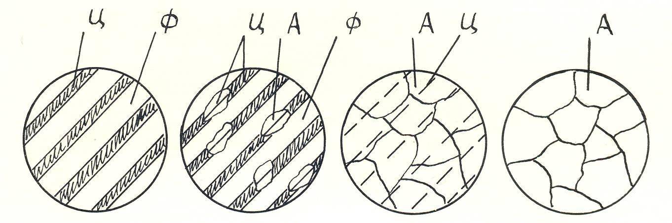 Аустенит. Аустенит феррит структура. Структура аустенита и цементита. Аустенит структура стали. Структура аустенитной стали.