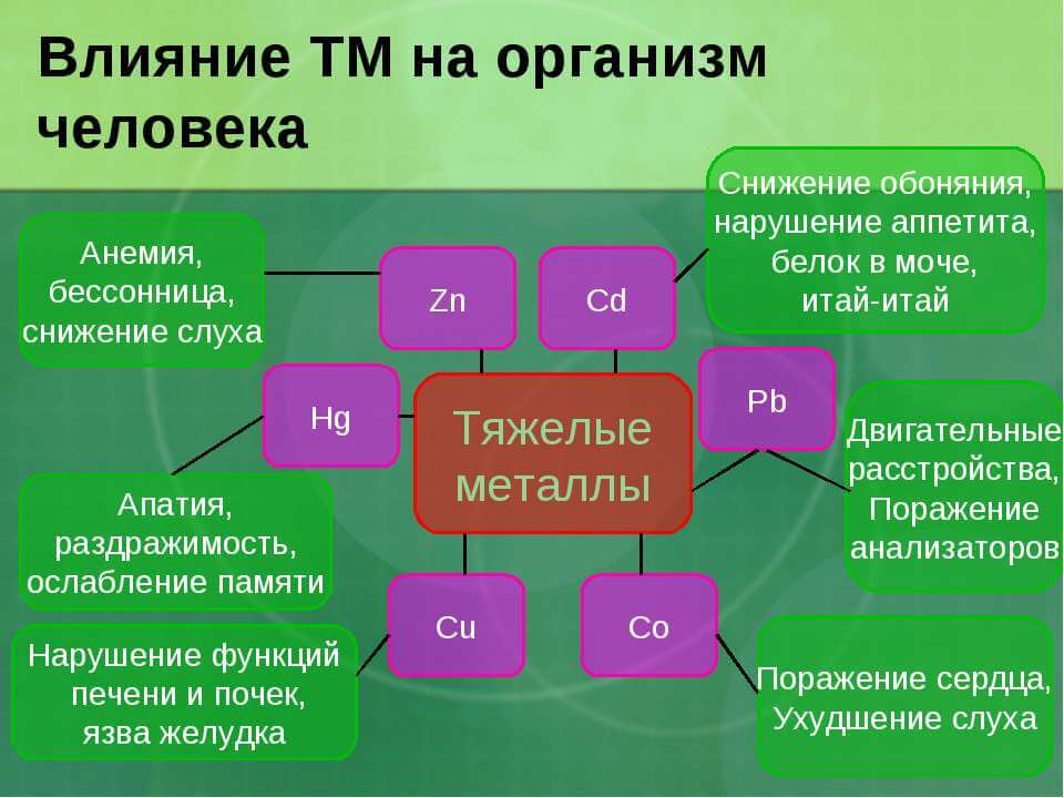 Влияние тяжелых металлов на здоровье человека проект